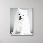 Cute Fluffy Japanese Spitz Puppy Canvas Afdruk (Voorkant)