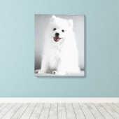 Cute Fluffy Japanese Spitz Puppy Canvas Afdruk (Insitu (Houten vloer))