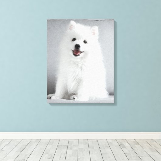 Cute Fluffy Japanese Spitz Puppy Canvas Afdruk (Insitu (Houten vloer))