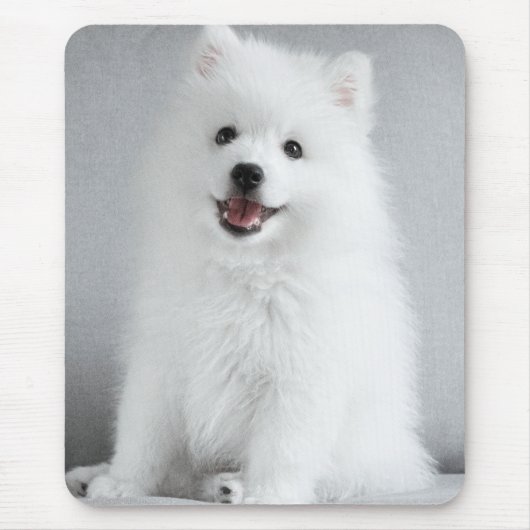 Cute Fluffy Japanese Spitz Puppy Muismat (Voorkant)