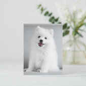 Cute Fluffy Japanse Spitz Puppy Briefkaart (Staand voorkant)
