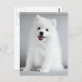 Cute Fluffy Japanse Spitz Puppy Briefkaart (Voorkant / Achterkant)