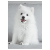 Cute Fluffy Japanse Spitz Puppy Klembord (Achterkant)