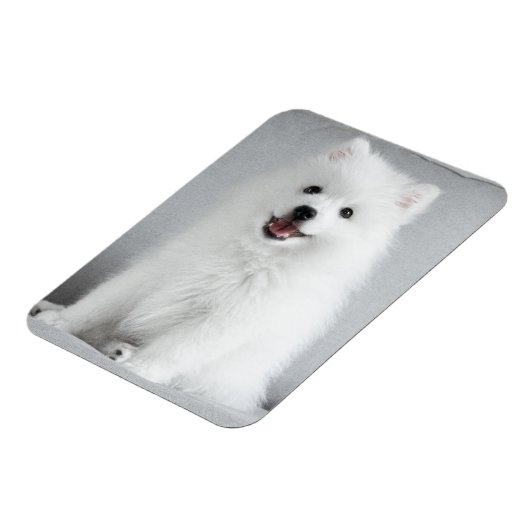 Cute Fluffy Japanse Spitz Puppy Magneet (Linkerzijde)