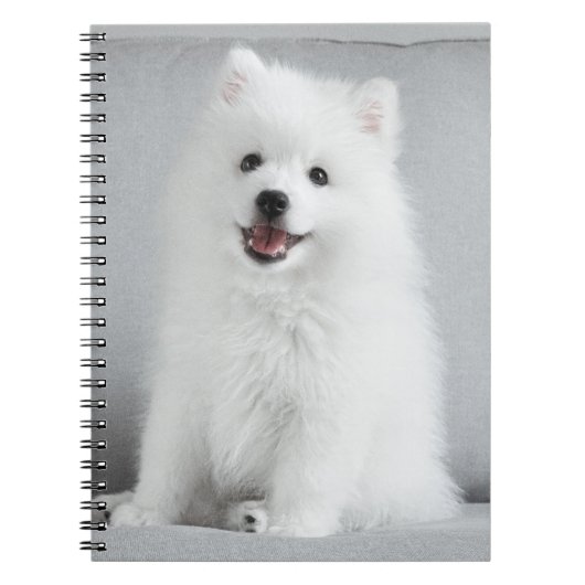 Cute Fluffy Japanse Spitz Puppy Notitieboek (Voorkant)