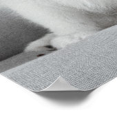 Cute Fluffy Japanse Spitz Puppy Poster (Hoek)