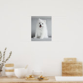 Cute Fluffy Japanse Spitz Puppy Poster (Keuken)