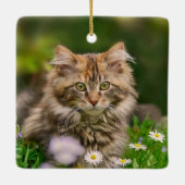 Cute Fluffy Maine Coon Kitten Cat Animal Foto *'* Keramisch Ornament (Achterkant)