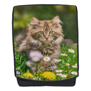 Cute Fluffy Maine Coon Kitten Cat in Flowers Photo Rugtassen