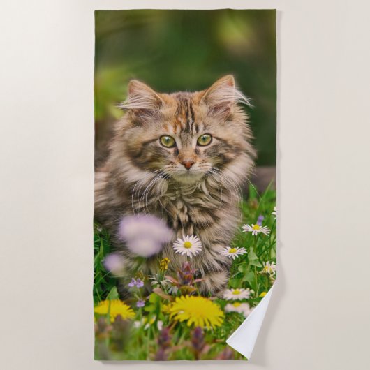 Cute Fluffy Maine Coon Kitten Cat in Flowers Photo Strandlaken (Voorkant)