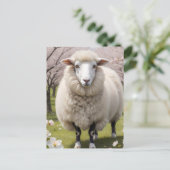 Cute Fluffy Sheep Briefkaart (Staand voorkant)