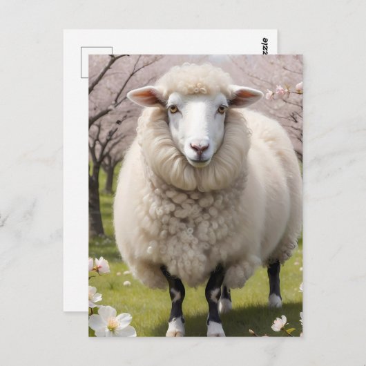 Cute Fluffy Sheep Briefkaart (Voorkant / Achterkant)
