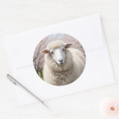 Cute Fluffy Sheep Ronde Sticker (Envelop)