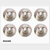 Cute Fluffy Sheep Ronde Sticker (Vel)
