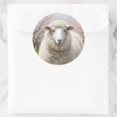 Cute Fluffy Sheep Ronde Sticker (Tas)