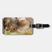 Cute Fluffy Squirrel Bagagelabel (Voorkant horizontaal)