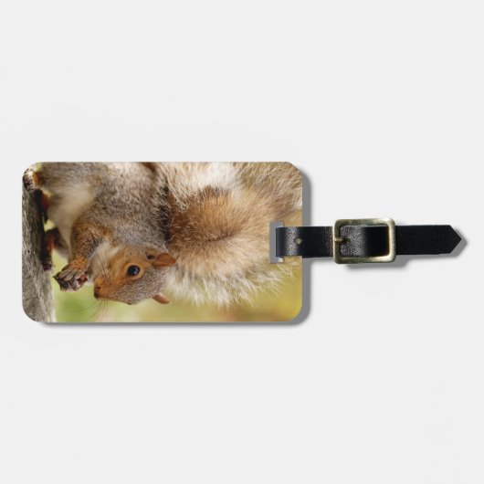 Cute Fluffy Squirrel Bagagelabel (Voorkant horizontaal)
