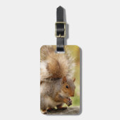 Cute Fluffy Squirrel Bagagelabel (Voorkant verticaal)