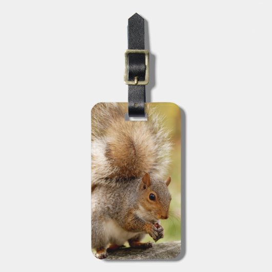 Cute Fluffy Squirrel Bagagelabel (Voorkant verticaal)