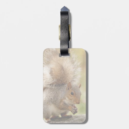 Cute Fluffy Squirrel Bagagelabel (Achterkant verticaal)