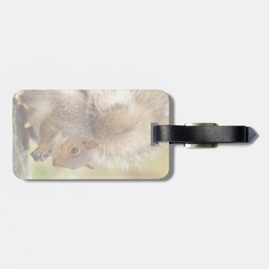 Cute Fluffy Squirrel Bagagelabel (Achterkant horizontaal)
