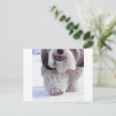 Cute Fluffy Tibetan Terrier Snow Paw Briefkaart (Staand voorkant)
