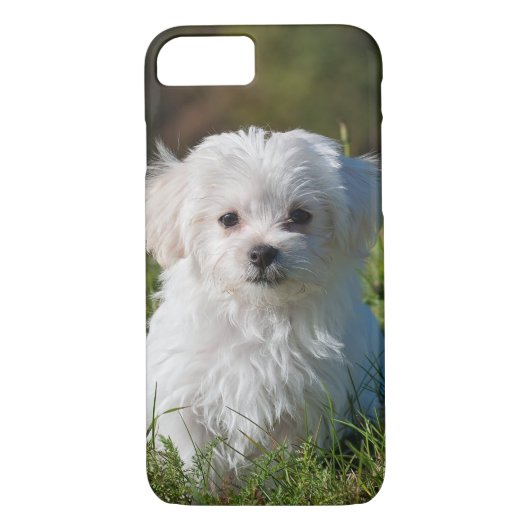 Cute Fluffy White Maltese Puppy Dog Case-Mate iPhone Case (Achterkant)