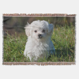 Cute Fluffy White Maltese Puppy Dog Deken