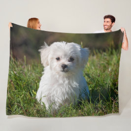 Cute Fluffy White Maltese Puppy Dog Fleece Deken