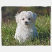 Cute Fluffy White Maltese Puppy Dog Fleece Deken (Voorkant (Horizontaal))