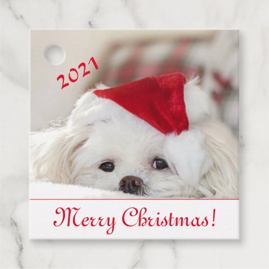 Cute Fluffy White Maltese Puppy Dog in een Santa H Bedankjes Labels (Voorkant)