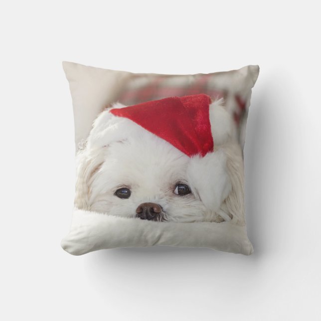 Cute Fluffy White Maltese Puppy Dog in een Santa H Kussen (Voorkant)