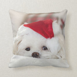 Cute Fluffy White Maltese Puppy Dog in een Santa H Kussen
