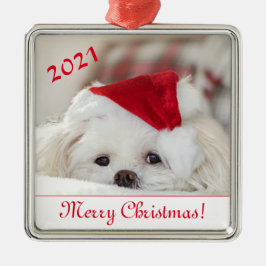 Cute Fluffy White Maltese Puppy Dog in een Santa H Metalen Ornament