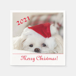 Cute Fluffy White Maltese Puppy Dog in een Santa H Servet