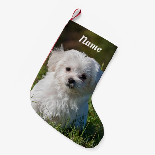 Cute Fluffy White Maltese Puppy Dog Kleine Kerstsok (Voorkant (Hangend))
