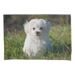 Cute Fluffy White Maltese Puppy Dog Kussensloop