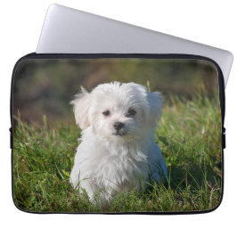 Cute Fluffy White Maltese Puppy Dog Laptop Sleeve