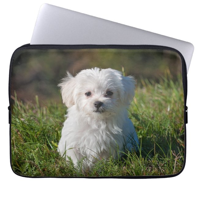 Cute Fluffy White Maltese Puppy Dog Laptop Sleeve (Voorkant)