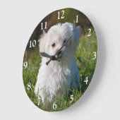 Cute Fluffy White Maltese Puppy Dog Large Clock Grote Klok (Hoek)