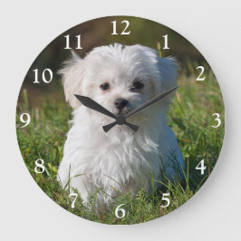 Cute Fluffy White Maltese Puppy Dog Large Clock Grote Klok