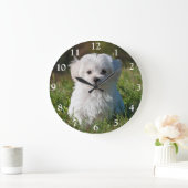 Cute Fluffy White Maltese Puppy Dog Large Clock Grote Klok (Huis)