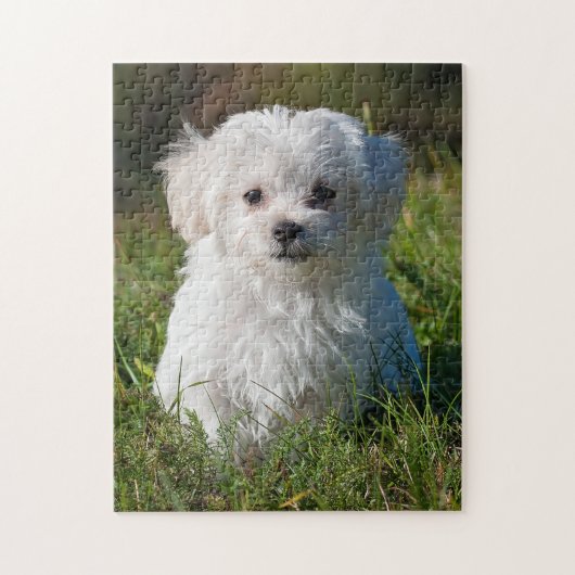 Cute Fluffy White Maltese Puppy Dog Legpuzzel (Verticaal)