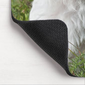 Cute Fluffy White Maltese Puppy Dog Muismat (Hoek)