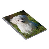 Cute Fluffy White Maltese Puppy Dog Notitieboek (Rechterzijde)