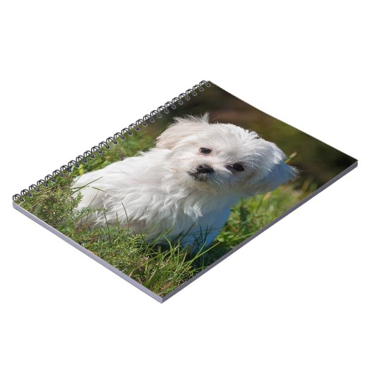 Cute Fluffy White Maltese Puppy Dog Notitieboek (Linkerzijde)