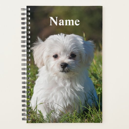 Cute Fluffy White Maltese Puppy Dog Planner (Voorkant)