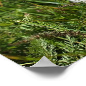 Cute Fluffy White Maltese Puppy Dog Poster (Hoek)