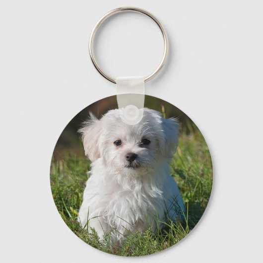 Cute Fluffy White Maltese Puppy Dog Sleutelhanger (Voorkant)