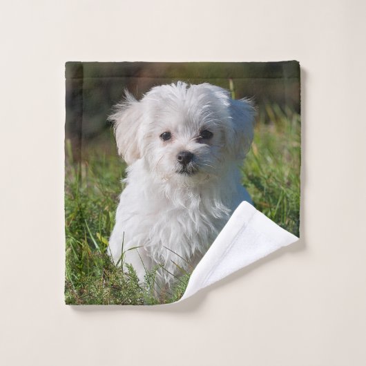 Cute Fluffy White Maltese Puppy Dog Washandje (Wasdoekje)